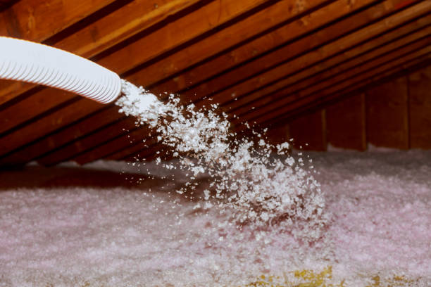 Best Commercial Insulation in Ata, OK